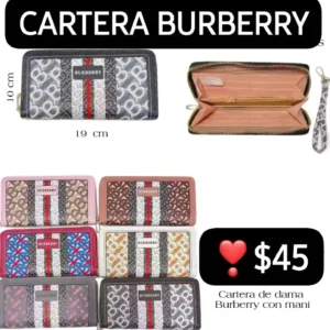 Cartera Burberry